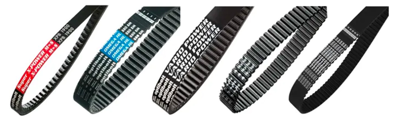 Image Belts